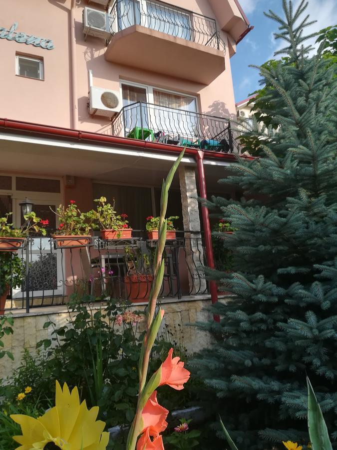 Готель Casa Dalena Костінешть Екстер'єр фото